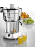 Ruby 2000 Commercial Juicer